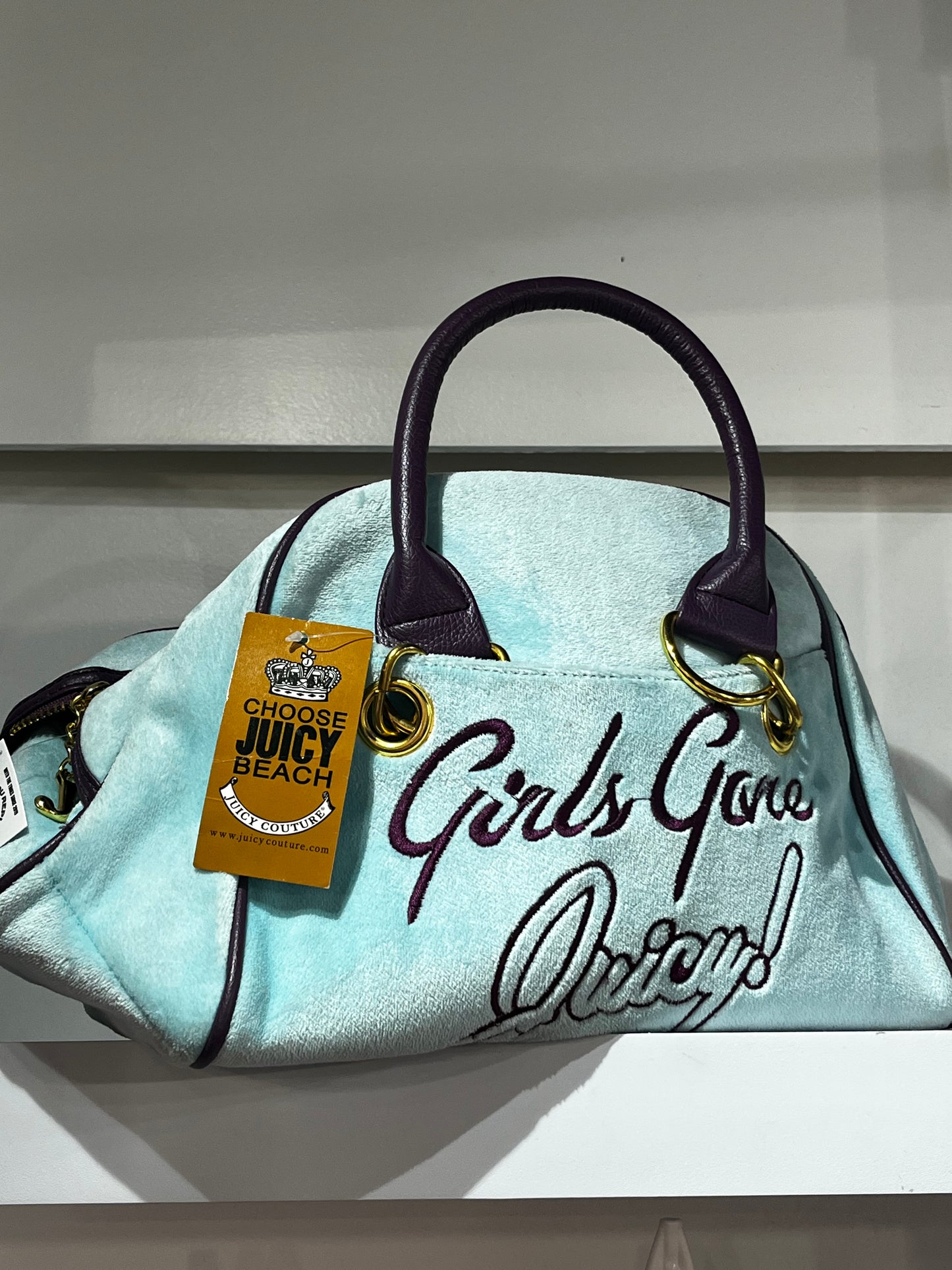 Purse - Bootleg "Girls Gone Juicy" Velour Aqua + Plum Deadstock Purse