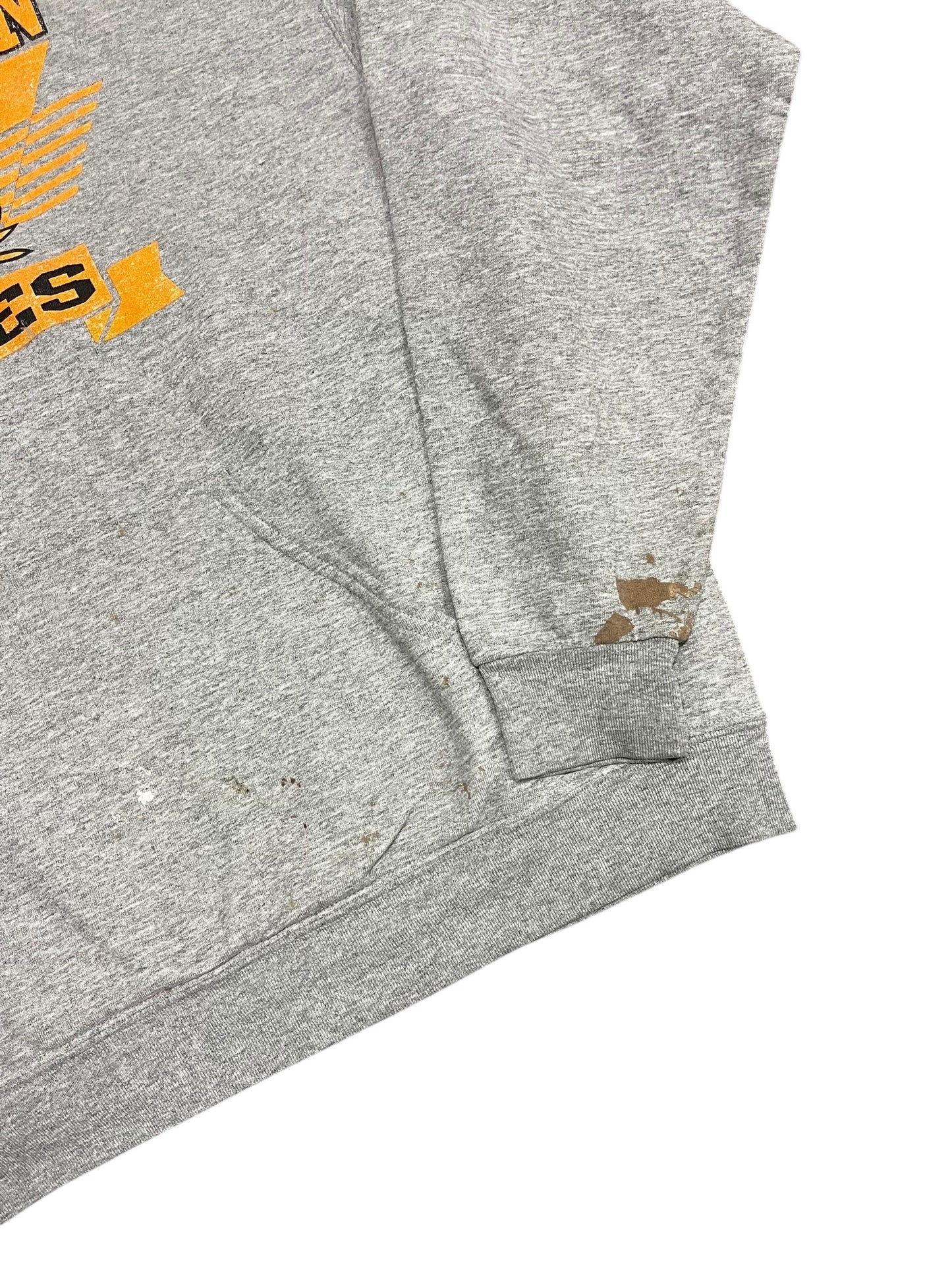 L - Collegiate 2000s Jerzees Hoodie