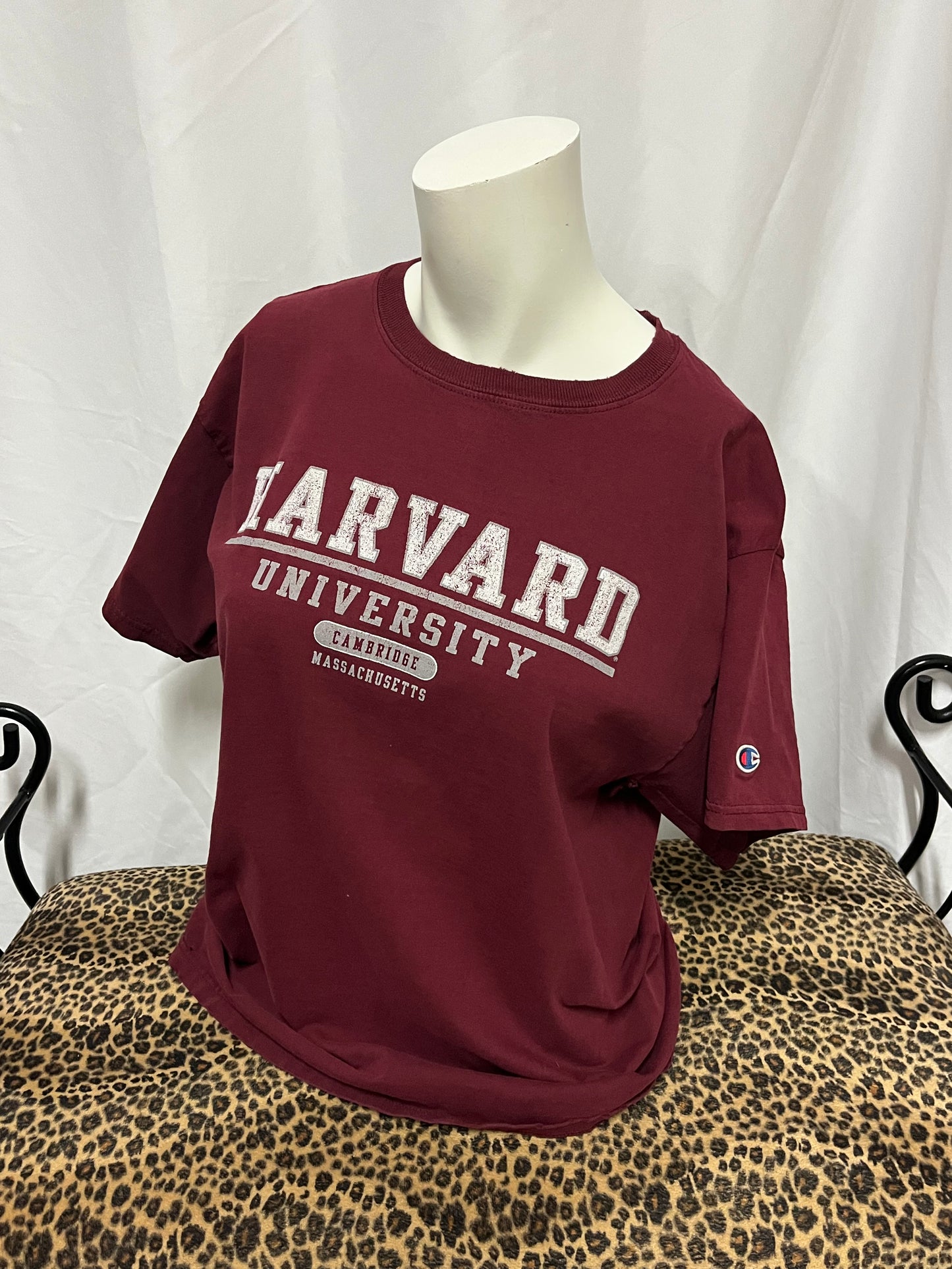 M - Harvard University Vintage Champion Tee